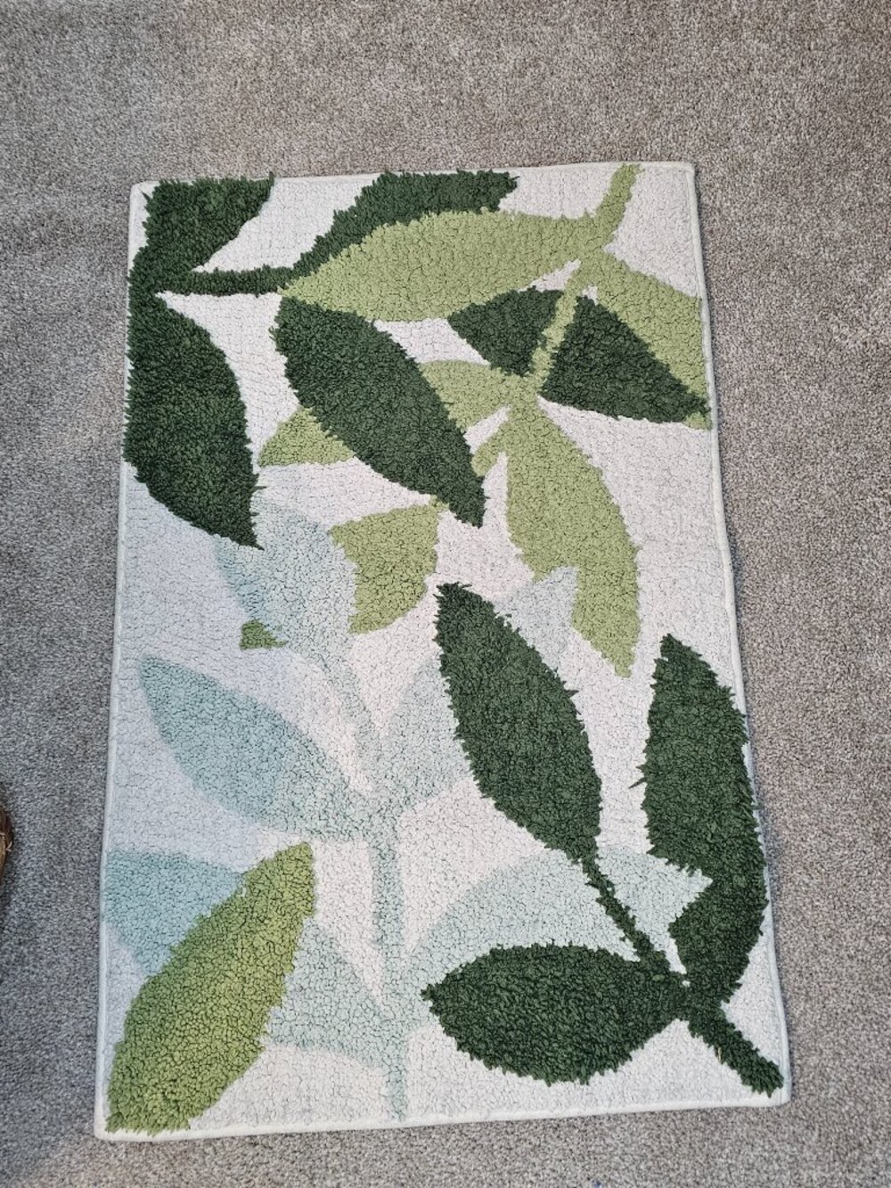 Bath rug